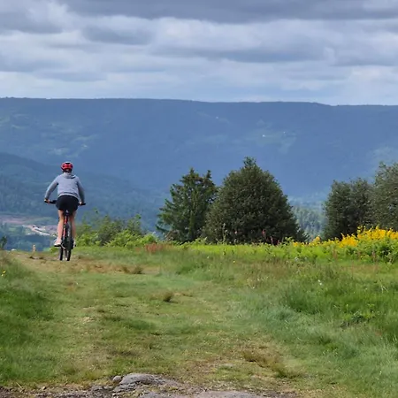 酒店 欧湖餐厅酒店 茹普特河畔巴斯特尔