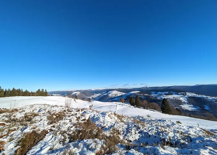 酒店 欧湖餐厅酒店