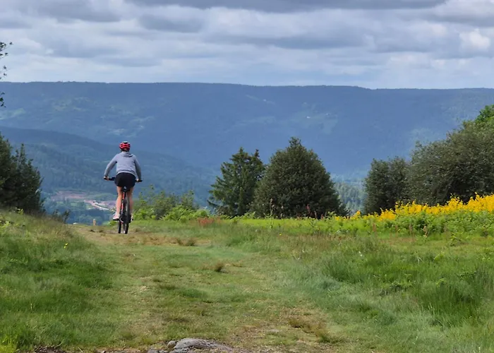 酒店 欧湖餐厅酒店 茹普特河畔巴斯特尔
